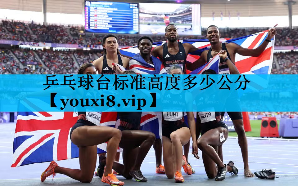 乒乓球台标准高度多少公分