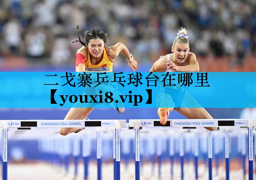 二戈寨乒乓球台在哪里