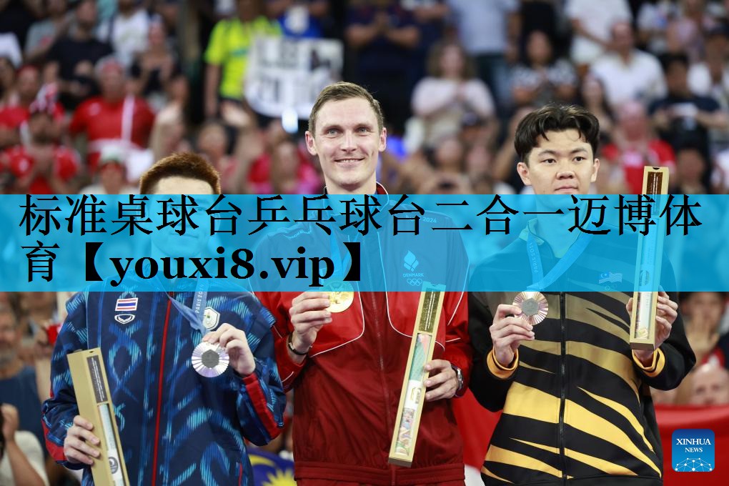 标准桌球台乒乓球台二合一迈博体育