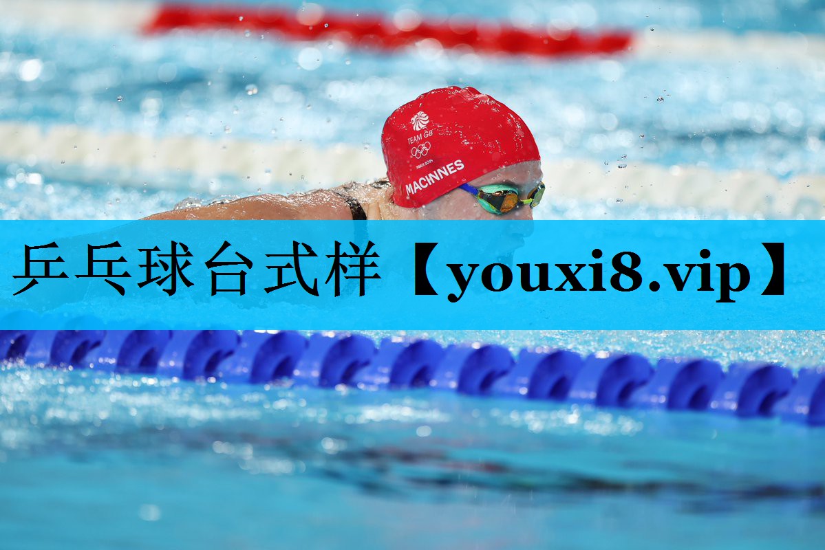 乒乓球台式样