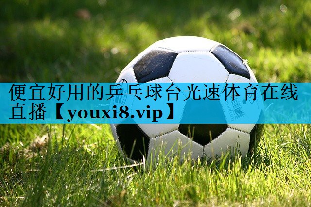 便宜好用的乒乓球台光速体育在线直播
