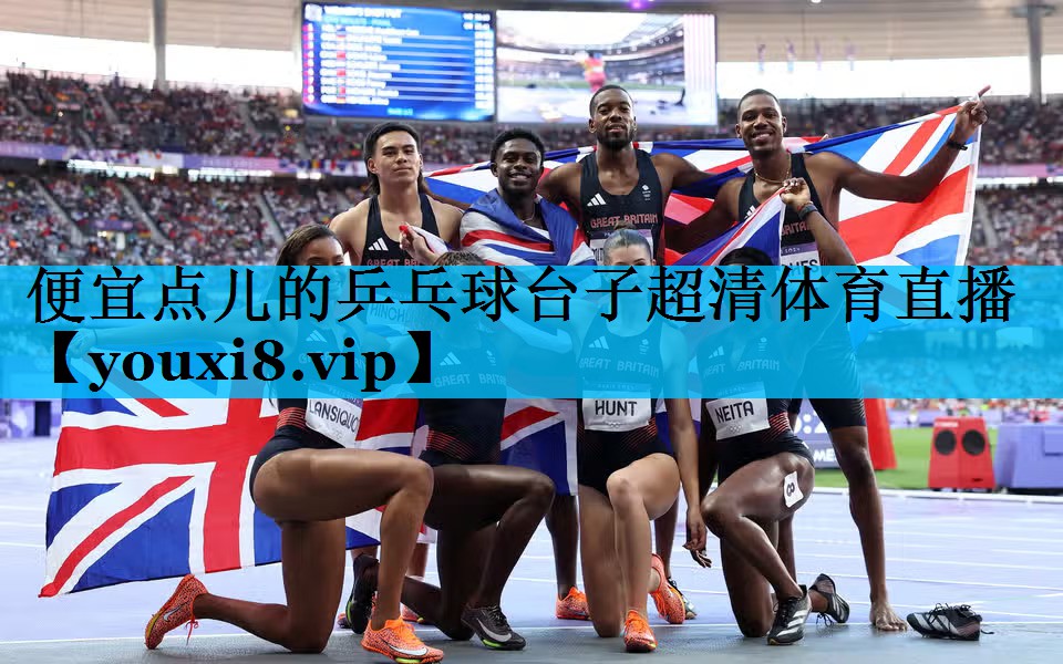 便宜点儿的乒乓球台子超清体育直播