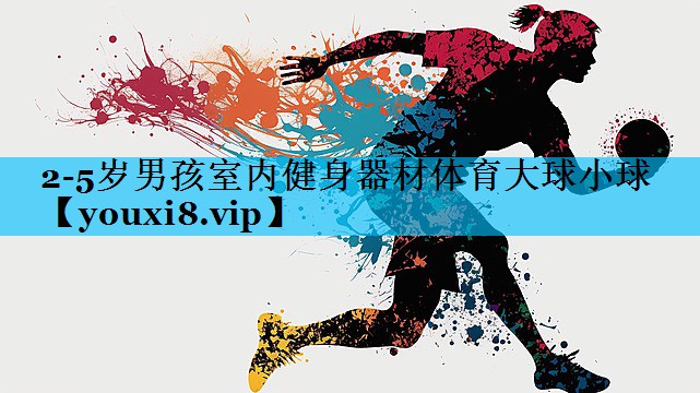 2-5岁男孩室内健身器材体育大球小球