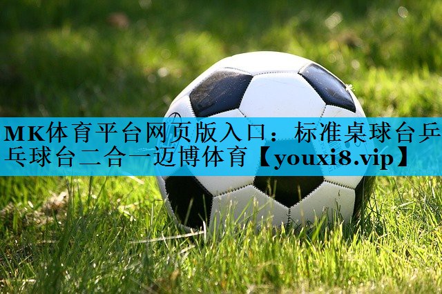 MK体育平台网页版入口：标准桌球台乒乓球台二合一迈博体育