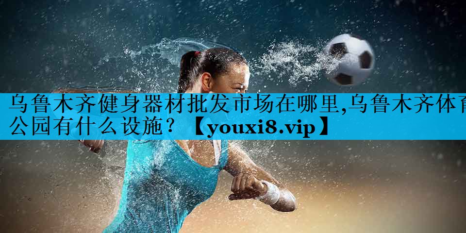 乌鲁木齐健身器材批发市场在哪里,乌鲁木齐体育公园有什么设施？