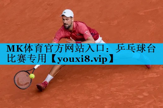 乒乓球台比赛专用 乒乓球台比赛专用