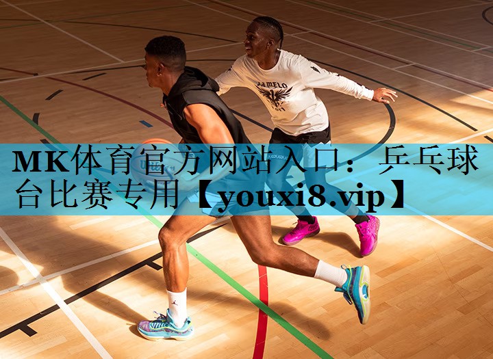 乒乓球台比赛专用 乒乓球台比赛专用