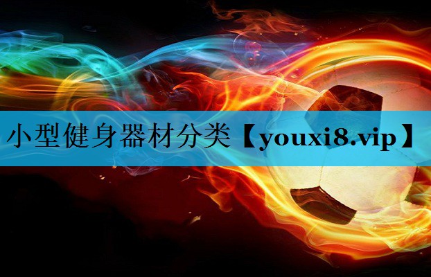 小型健身器材分类 小型健身器材分类
