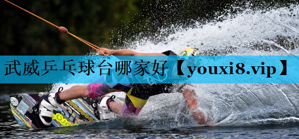 武威乒乓球台哪家好