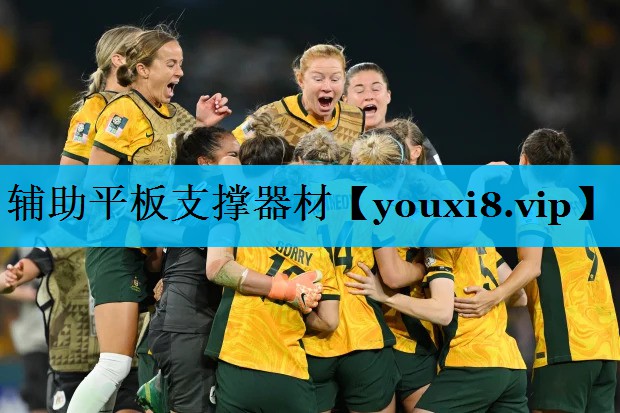 辅助平板支撑器材 辅助平板支撑器材