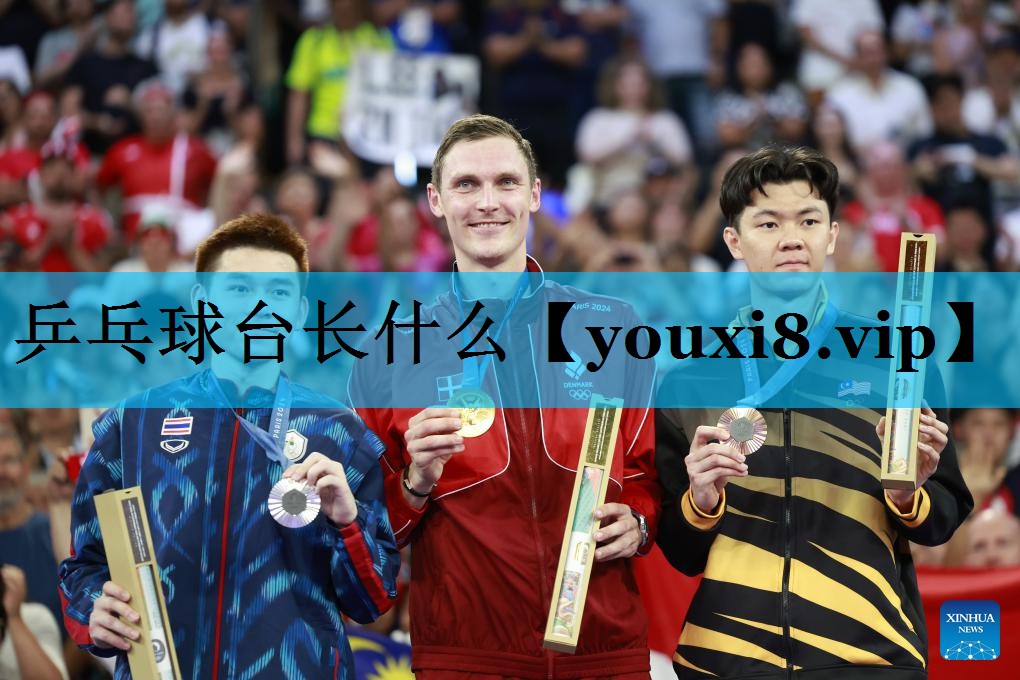 乒乓球台长什么 乒乓球台长什么