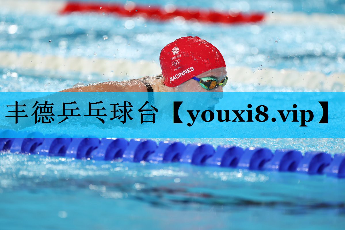 丰德乒乓球台 丰德乒乓球台