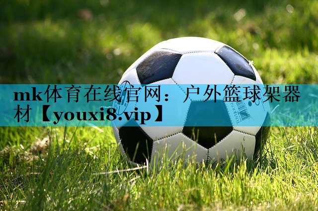 户外篮球架器材 户外篮球架器材