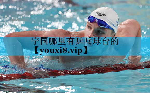 宁国哪里有乒乓球台的 宁国哪里有乒乓球台的
