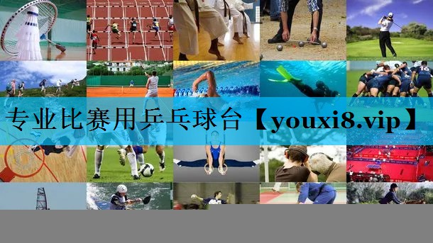 专业比赛用乒乓球台 专业比赛用乒乓球台
