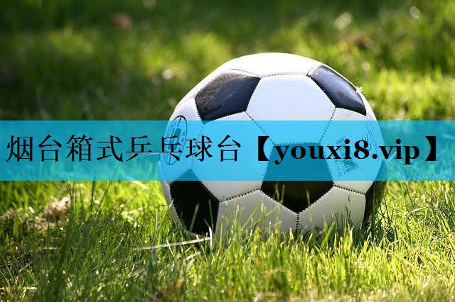烟台箱式乒乓球台 烟台箱式乒乓球台