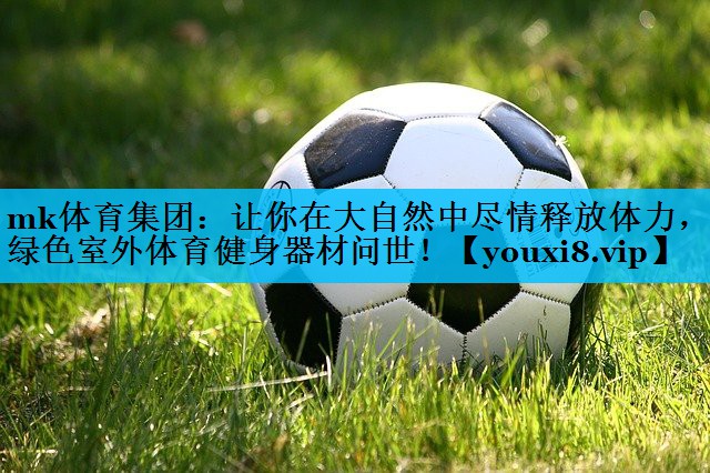 让你在大自然中尽情释放体力,绿色室外体育健身器材问世! 让你在大自然中尽情释放体力,绿色室外体育健身器材问世!